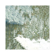 Stella Olivier Coniferous Forest Christmas cards (pack of 6)